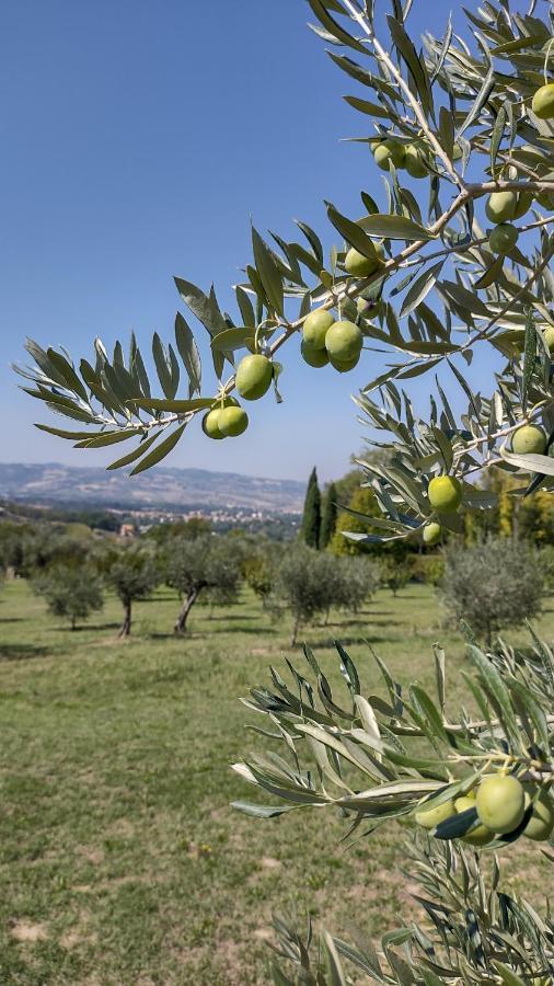 Montelabbate La Maggiolina Country House מראה חיצוני תמונה